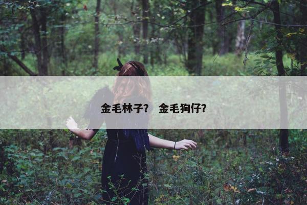 金毛林子？ 金毛狗仔？