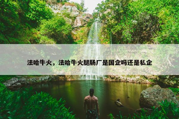 法哈牛火，法哈牛火腿肠厂是国企吗还是私企