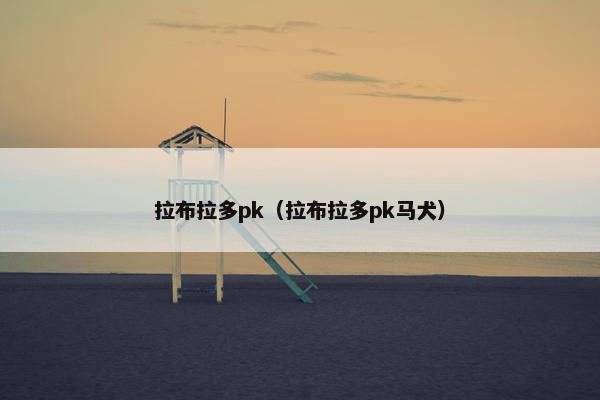 拉布拉多pk（拉布拉多pk马犬）
