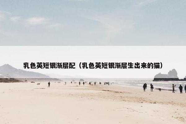 乳色英短银渐层配（乳色英短银渐层生出来的猫）