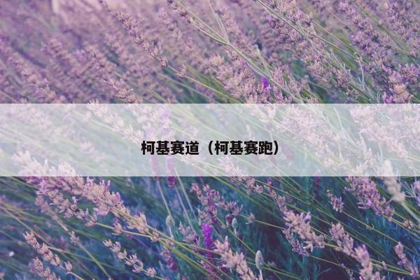 柯基赛道（柯基赛跑）