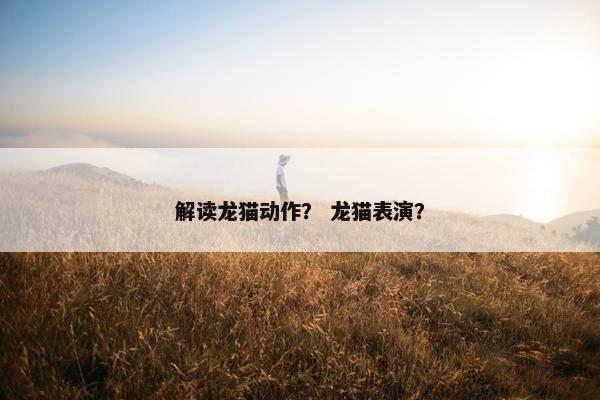 解读龙猫动作？ 龙猫表演？