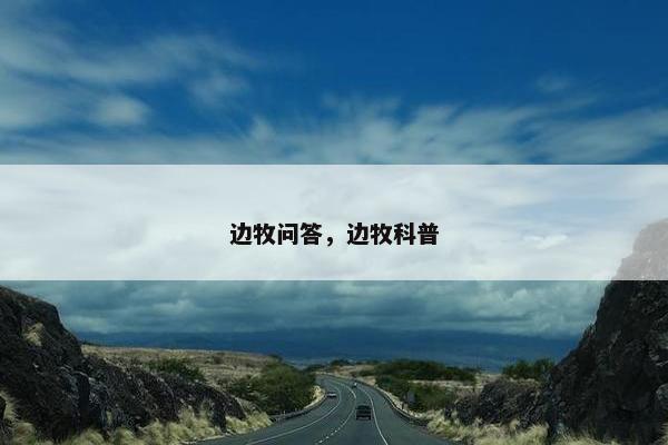 边牧问答，边牧科普