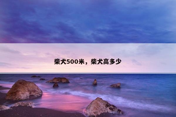 柴犬500米，柴犬高多少