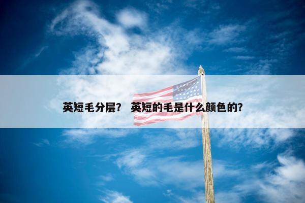 英短毛分层？ 英短的毛是什么颜色的？