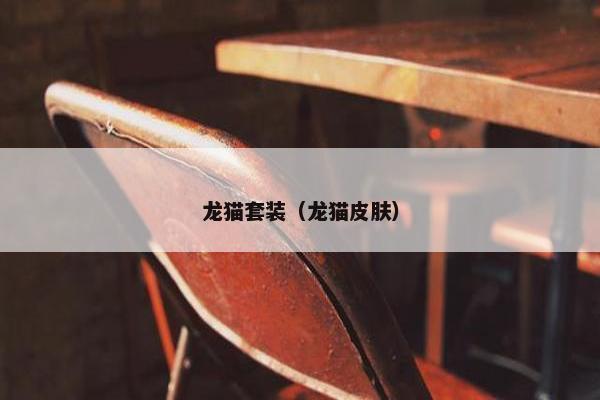 龙猫套装（龙猫皮肤）