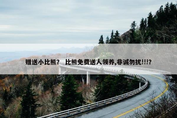 赠送小比熊？ 比熊免费送人领养,非诚勿扰!!!？