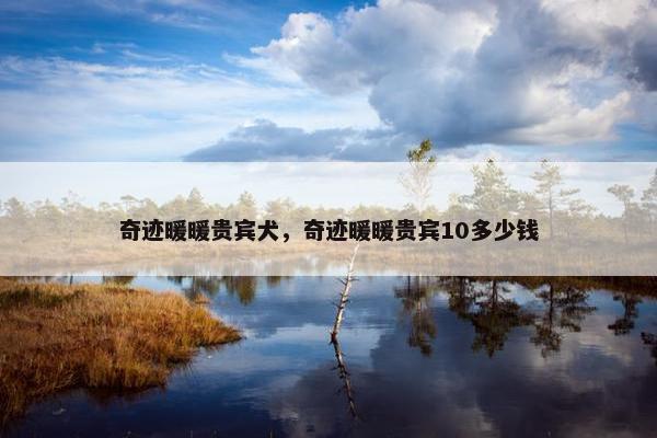 奇迹暖暖贵宾犬，奇迹暖暖贵宾10多少钱