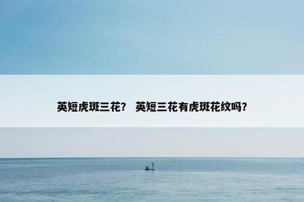 英短虎斑三花？ 英短三花有虎斑花纹吗？