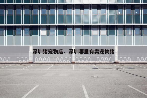 深圳猪宠物店，深圳哪里有卖宠物猪