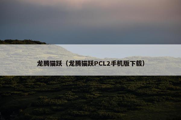 龙腾猫跃(龙腾猫跃PCL2手机版下载) 龙腾猫跃(龙腾猫跃PCL2手机版下载)