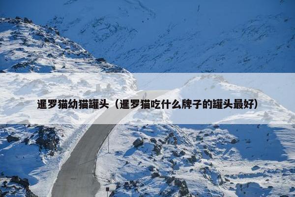 暹罗猫幼猫罐头（暹罗猫吃什么牌子的罐头最好）