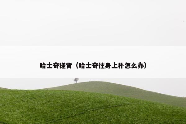 哈士奇搓背（哈士奇往身上扑怎么办）