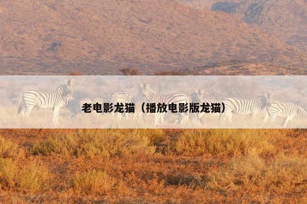 老电影龙猫（播放电影版龙猫）
