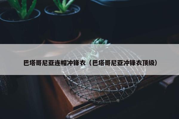 巴塔哥尼亚连帽冲锋衣（巴塔哥尼亚冲锋衣顶级）