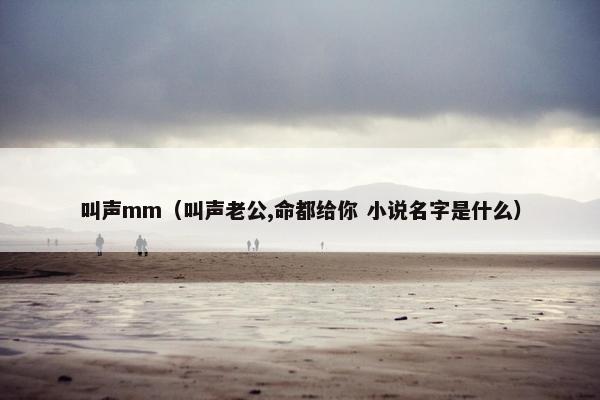 叫声mm（叫声老公,命都给你 小说名字是什么）