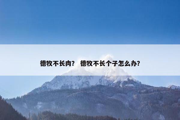德牧不长肉？ 德牧不长个子怎么办？