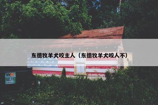 东德牧羊犬咬主人（东德牧羊犬咬人不）