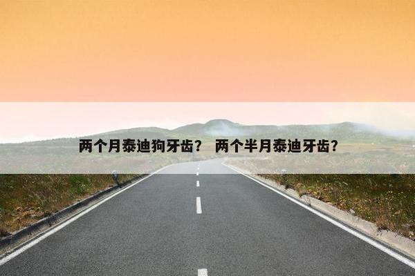 两个月泰迪狗牙齿？ 两个半月泰迪牙齿？