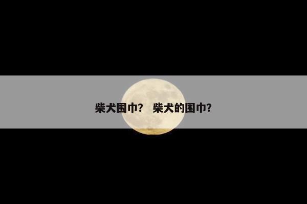 柴犬围巾？ 柴犬的围巾？