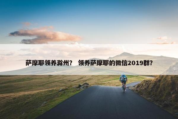 萨摩耶领养滁州？ 领养萨摩耶的微信2019群？