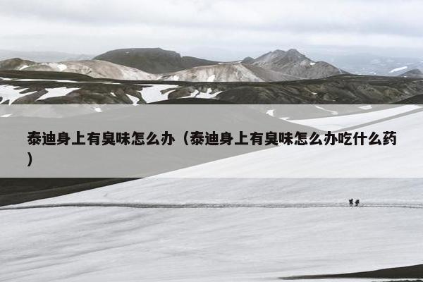 泰迪身上有臭味怎么办（泰迪身上有臭味怎么办吃什么药）