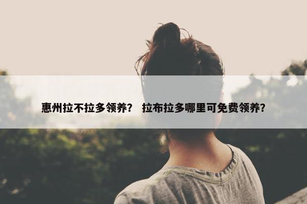 惠州拉不拉多领养？ 拉布拉多哪里可免费领养？