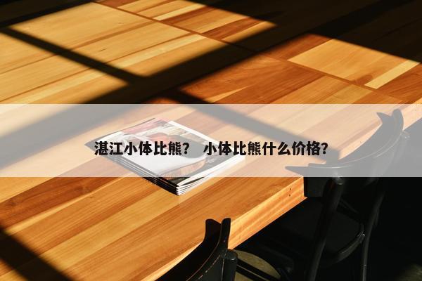 湛江小体比熊？ 小体比熊什么价格？