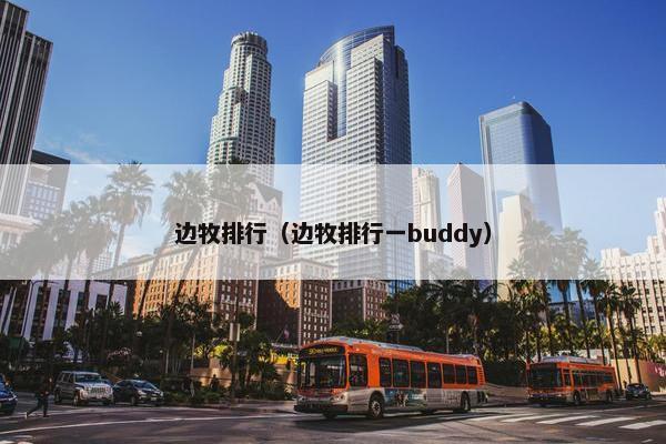 边牧排行（边牧排行一buddy）
