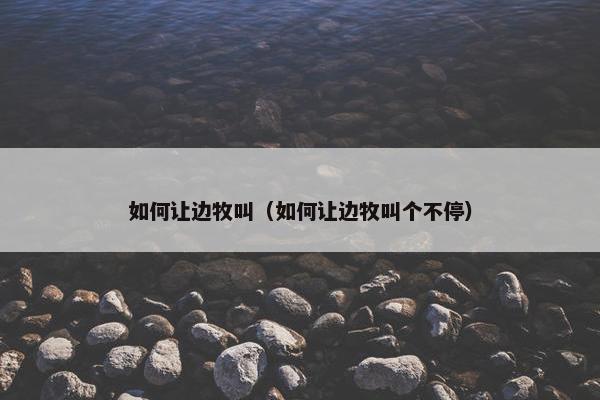 如何让边牧叫（如何让边牧叫个不停）