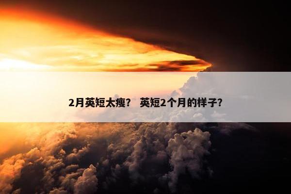 2月英短太瘦？ 英短2个月的样子？