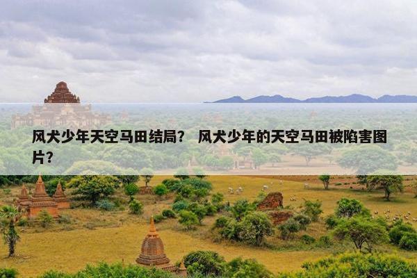 风犬少年天空马田结局？ 风犬少年的天空马田被陷害图片？