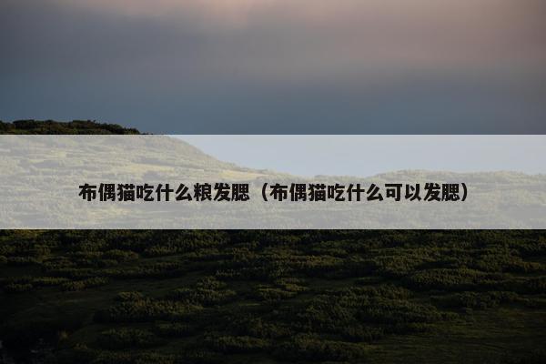 布偶猫吃什么粮发腮（布偶猫吃什么可以发腮）