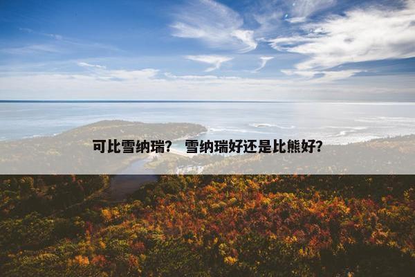 可比雪纳瑞？ 雪纳瑞好还是比熊好？