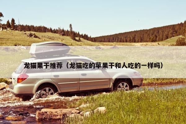 龙猫果干推荐（龙猫吃的苹果干和人吃的一样吗）