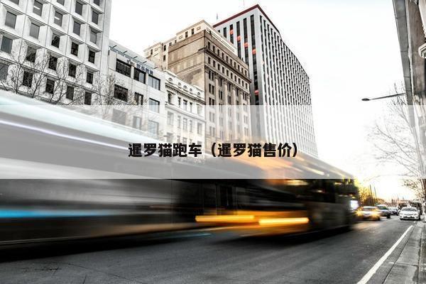暹罗猫跑车（暹罗猫售价）