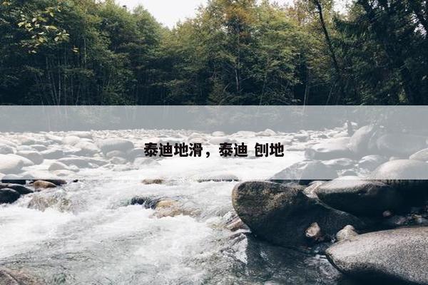 泰迪地滑，泰迪 刨地