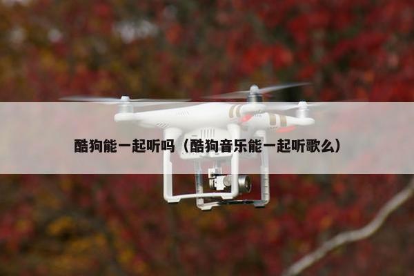 酷狗能一起听吗（酷狗音乐能一起听歌么）