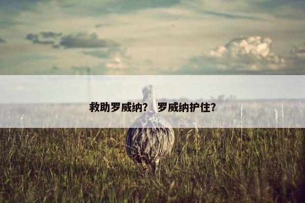 救助罗威纳？ 罗威纳护住？