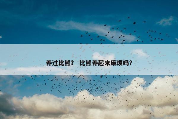 养过比熊？ 比熊养起来麻烦吗？