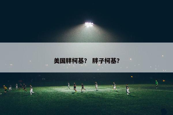 美国胖柯基？ 胖子柯基？