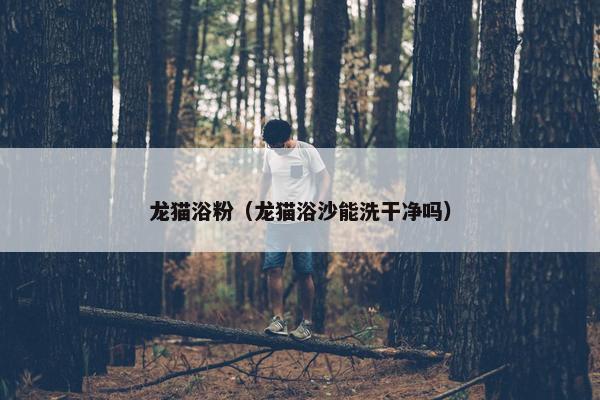 龙猫浴粉（龙猫浴沙能洗干净吗）