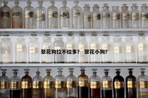 翠花狗拉不拉多？ 翠花小狗？