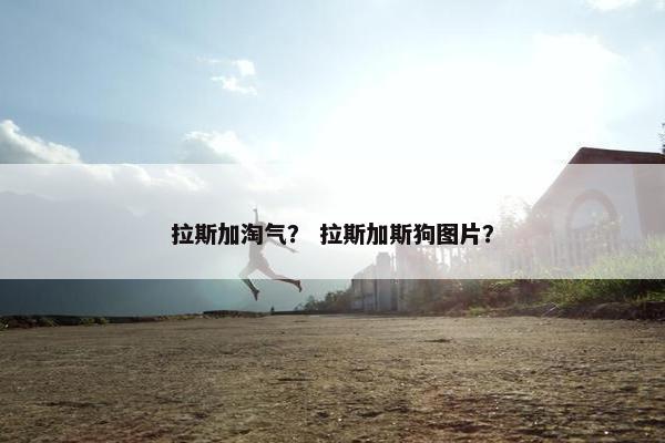 拉斯加淘气？ 拉斯加斯狗图片？