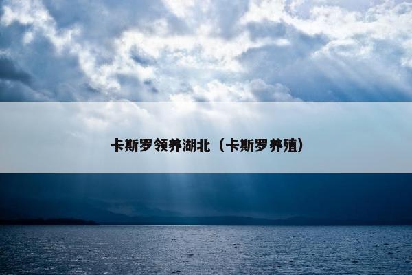 卡斯罗领养湖北（卡斯罗养殖）