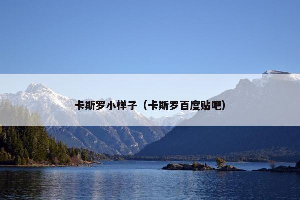 卡斯罗小样子（卡斯罗百度贴吧）