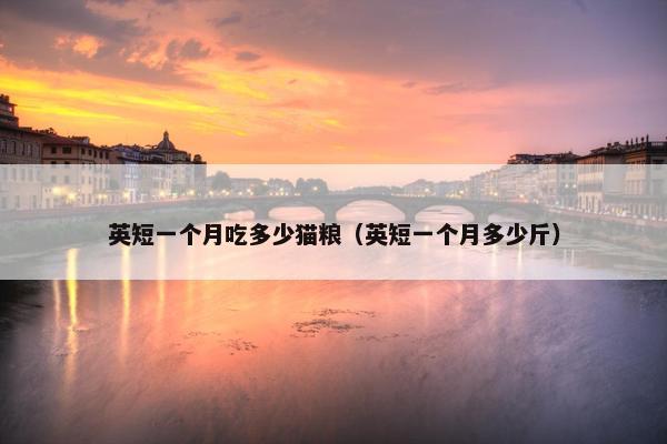 英短一个月吃多少猫粮（英短一个月多少斤）