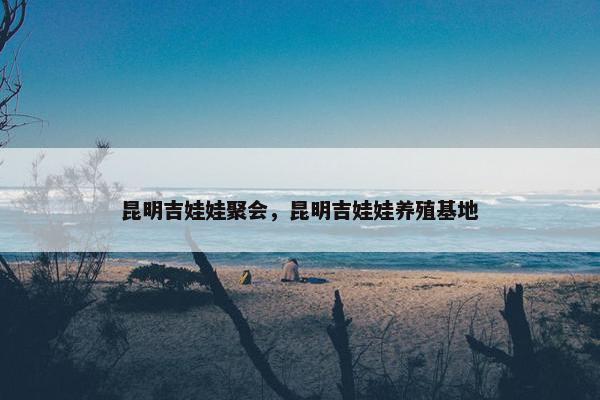 昆明吉娃娃聚会，昆明吉娃娃养殖基地