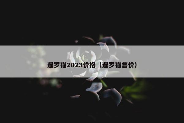 暹罗猫2023价格（暹罗猫售价）