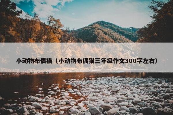 小动物布偶猫（小动物布偶猫三年级作文300字左右）